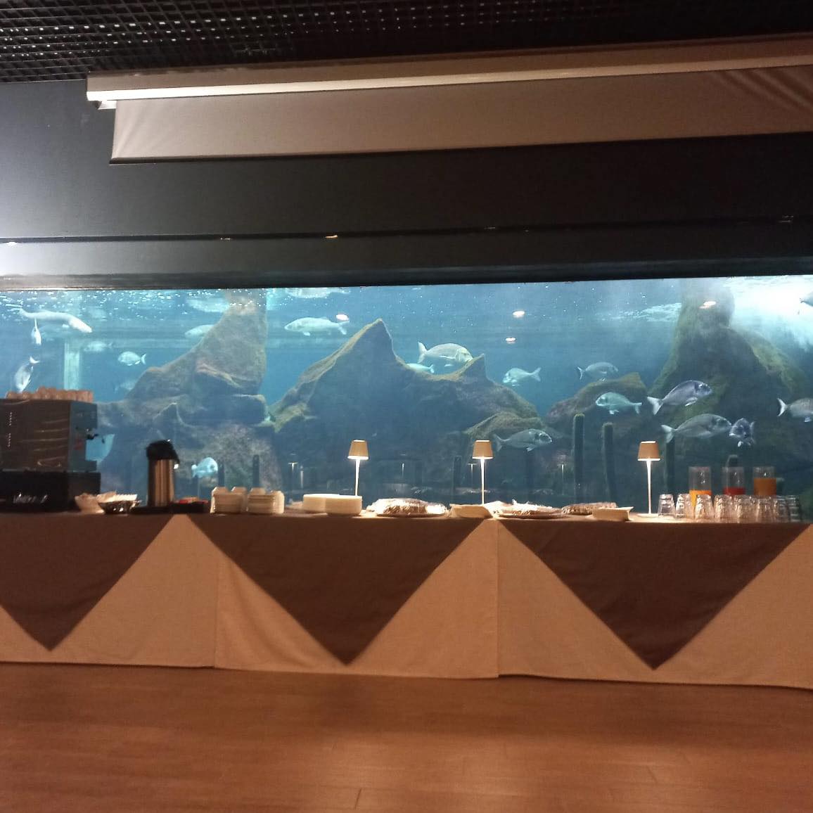 Eh si … è un acquario …..
.
.
.
.
.
.
#catering #buffet #cateringservice  #catering #cateringservice #cateringevent #lunch #cantierecucinapisa #besties #bestoftheday #chill #chilling #cool #crazy #festa #friend #friends #fun #funtime #funtimes #girls #goodtime #goodtimes #guys #happy #instafun #instagood #instaparty #love #memories #music #night